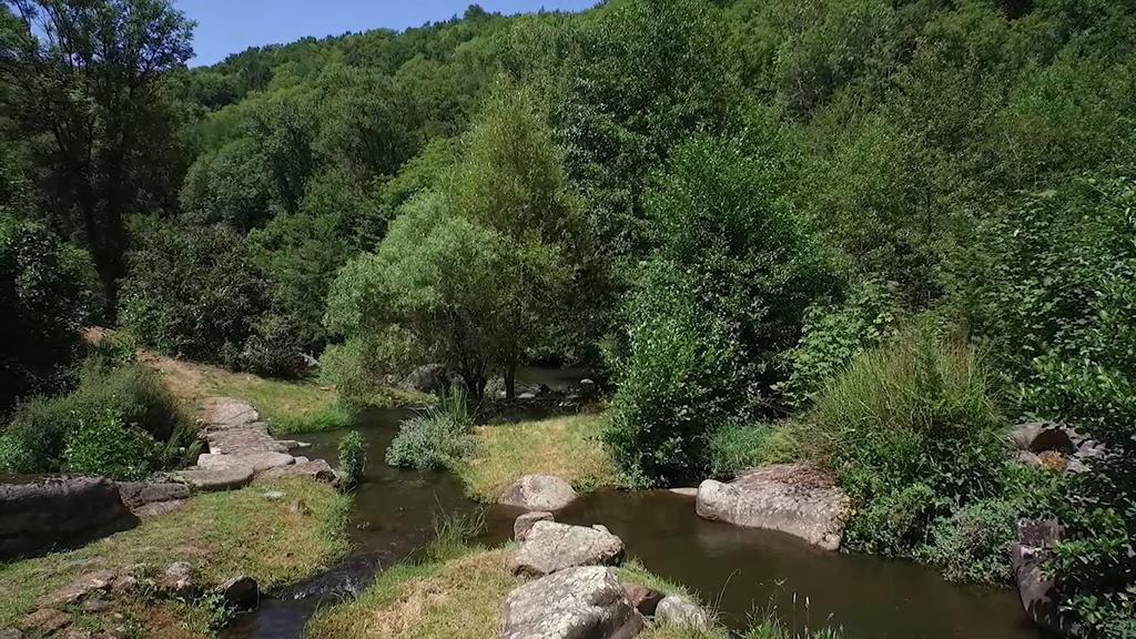 Ferrieres  Moulin De Recordヴィラ エクステリア 写真