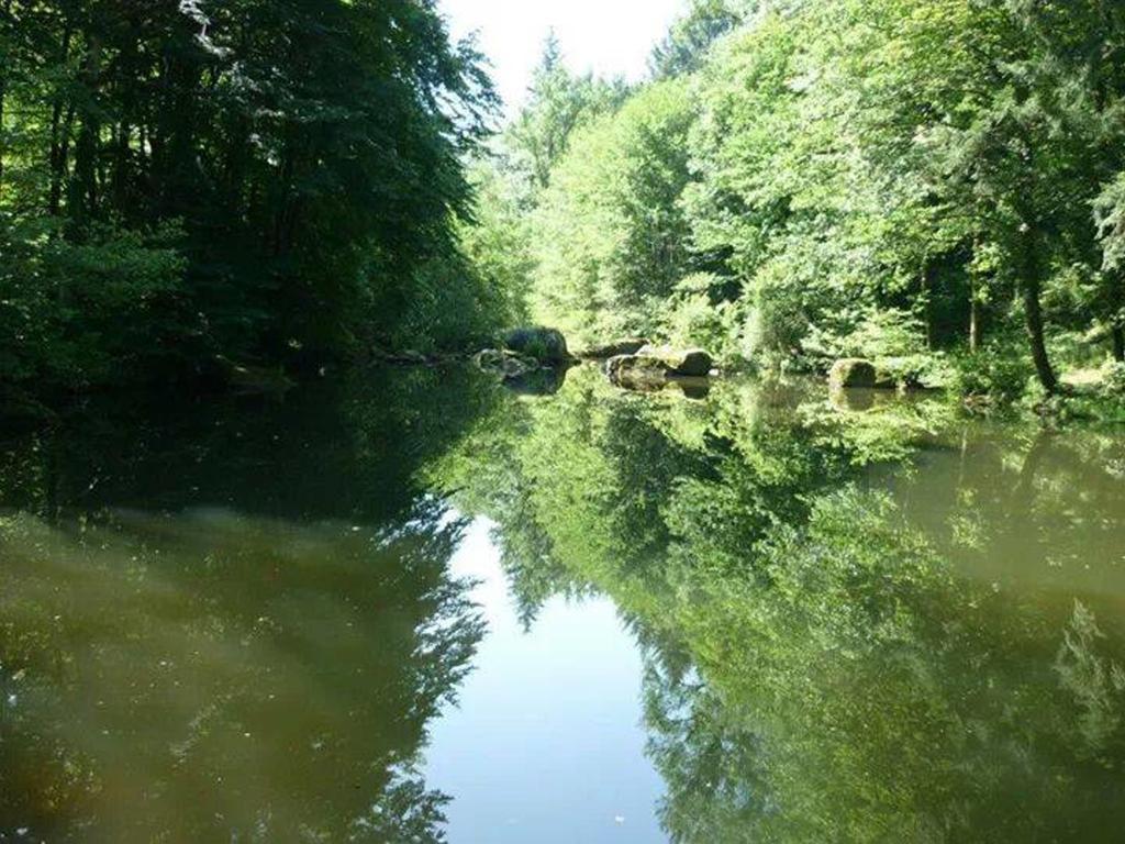 Ferrieres  Moulin De Recordヴィラ エクステリア 写真